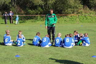 开云中国-德甲战术大变：变化迅速，精彩纷呈，德甲赛制介绍