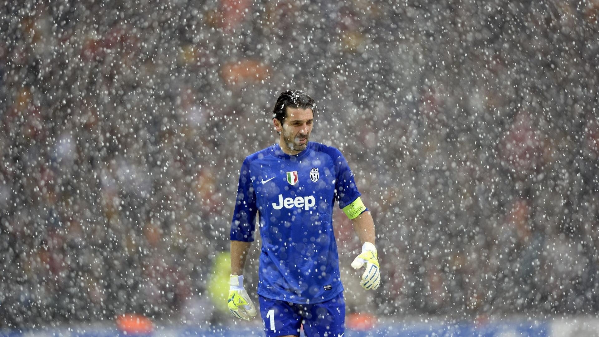 澳大利亚橄榄球的青训计划迎来突破,全球球员涌入,澳大利亚nrl橄榄球联赛