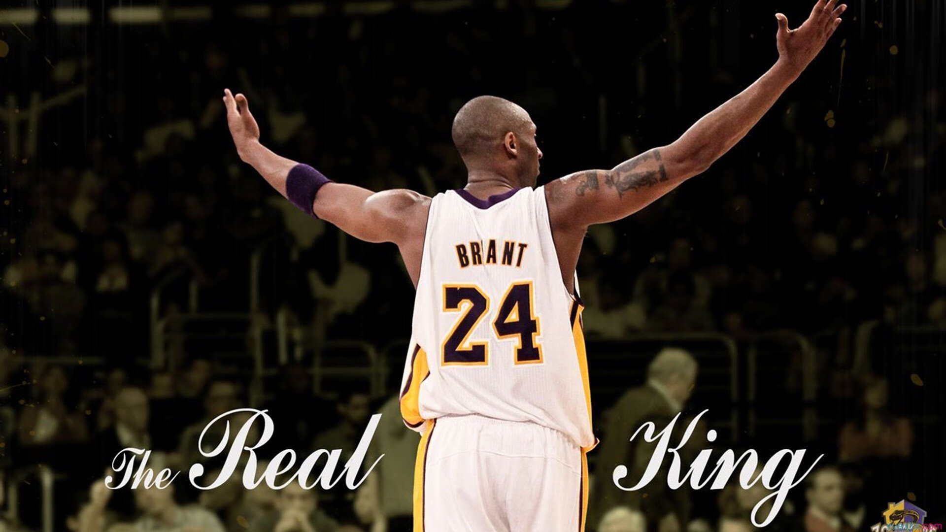 跳水环节波兰表现出色，跳水包揽